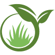 Frederick Lawn Clean Up