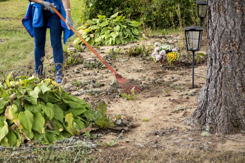 Professional Service Advantages