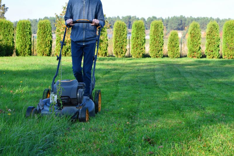 Experienced Lawn Care Teams