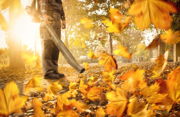 Cost of Leaf Blowing Service in Frederick