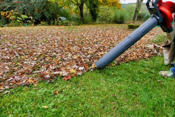 Cost of Leaf Vacuuming Service in Frederick