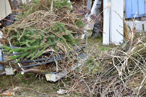 Cost of Yard Debris Removal in Frederick