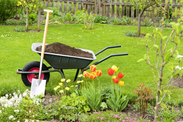 Cost of Spring Yard Cleanup in Frederick