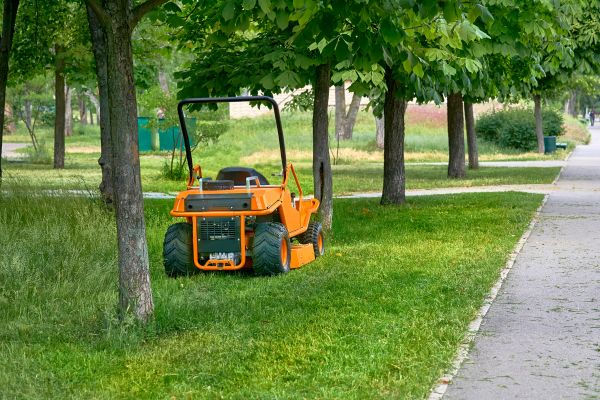 Cost of Landscaping Cleanup Service in Frederick