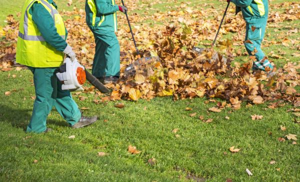 Cost of Leaf Maintenance in Frederick
