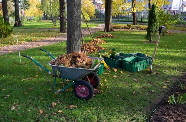 Cost of Leaf Clearing Service in Frederick