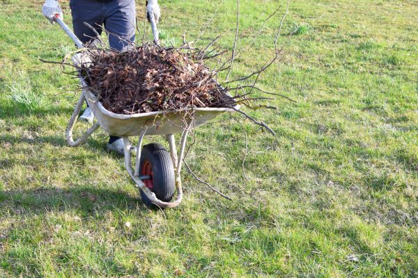 Cost of Yard Brush Removal in Frederick