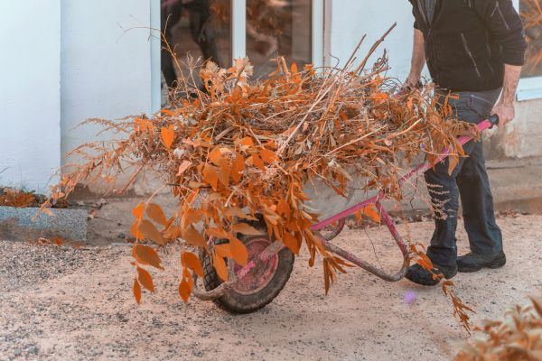 Cost of Lawn Debris Cleanup in Frederick