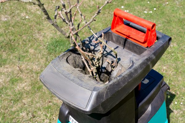 Cost of Brush Cleanup Service in Frederick