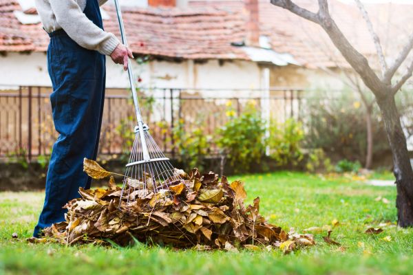 Cost of Fall Yard Cleanup Service in Frederick