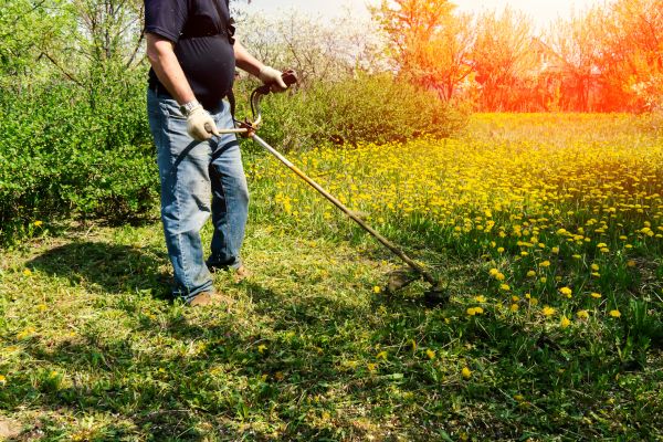 Cost of Yard Clearing Service in Frederick