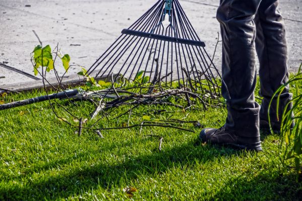 Cost of Yard Debris Cleanup in Frederick