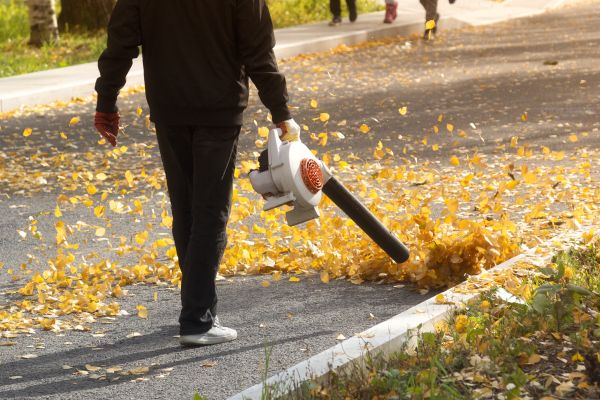 Cost of Commercial Leaf Removal in Frederick